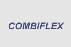 Arial bold italic 