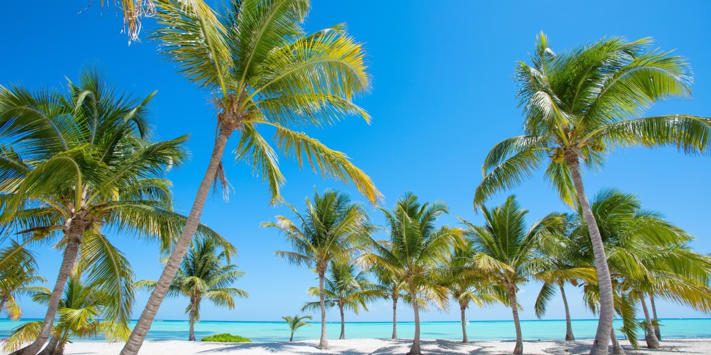 Vakantiesluiting tijdens de zomerperiode!